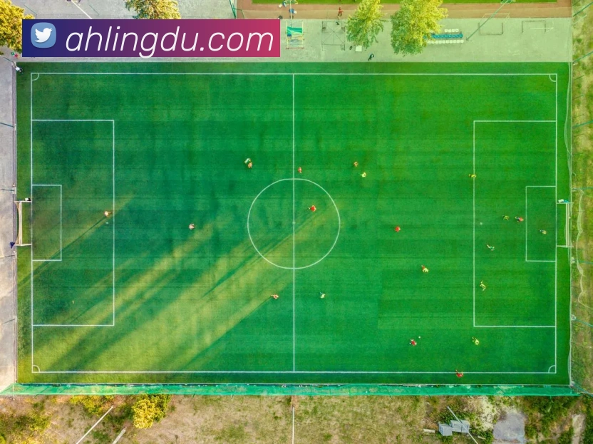 奖项图2